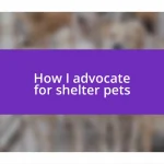 How I advocate for shelter pets