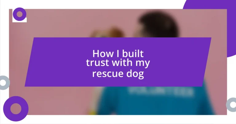 How I built trust with my rescue dog