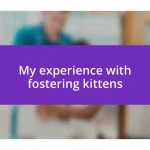 My experience with fostering kittens