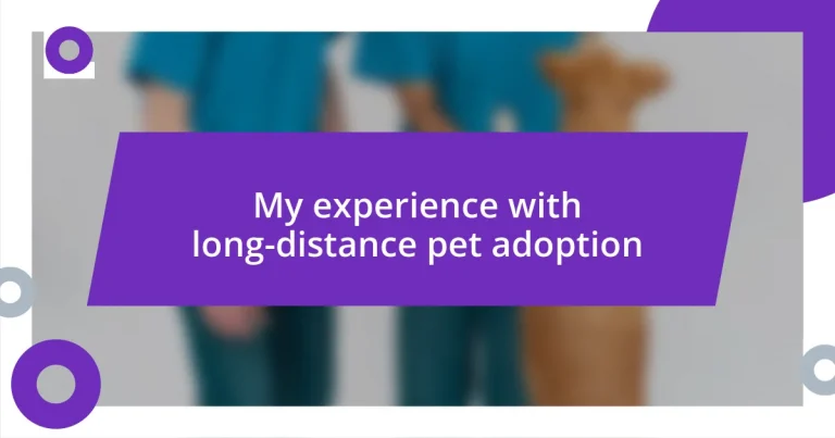 My experience with long-distance pet adoption