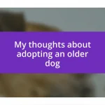 My thoughts about adopting an older dog