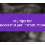 My tips for successful pet introductions