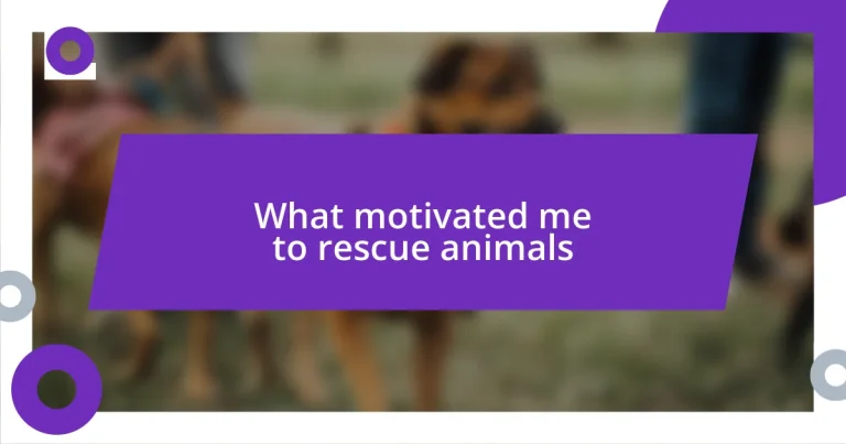 What motivated me to rescue animals